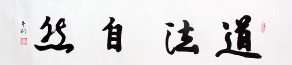 �xƽ������������